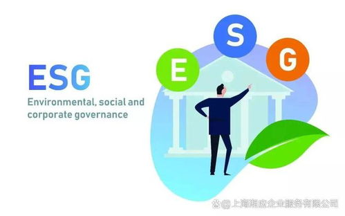 上海企业esg管理体系认证证书条件及流程全解,上海ehs咨询公司